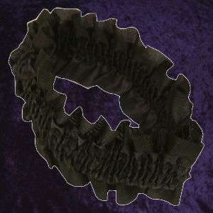 Black Garter Photo